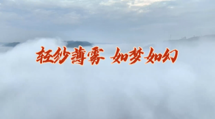 视界网--重庆网络广播电视台