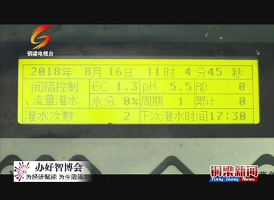 铜梁--看点‖你见过长在空中的草莓吗?