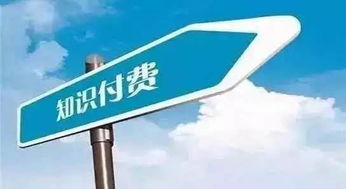 分享 网络广告 付费订阅 直播打赏 车联网 智能硬件大pk,总有一种变现方式适合你