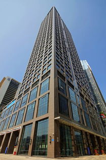 名企动态 宝鹰精品 荟同学校 鼎和大厦 c型柱绽放cctv 1