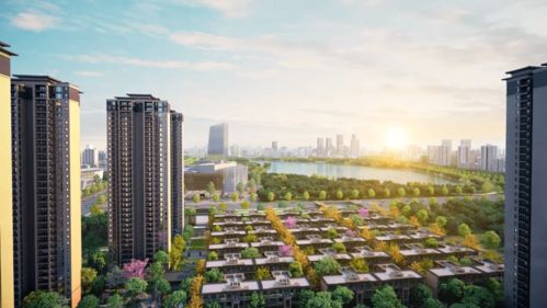 国风院子爆红衡阳 开放两天日均接待超万人次