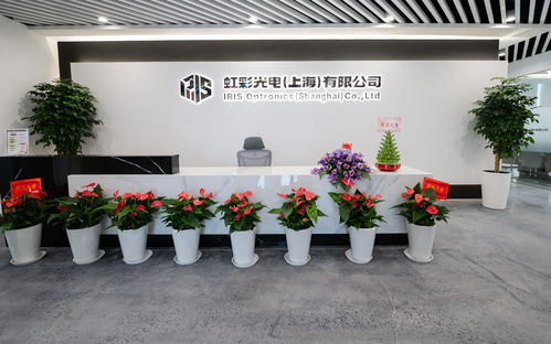 虹图大展 丰彩启新 虹彩光电 上海 揭幕仪式暨技术发布会圆满召开