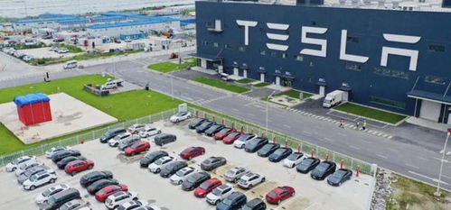 不只是国内卖 特斯拉上海工厂出口月超4万