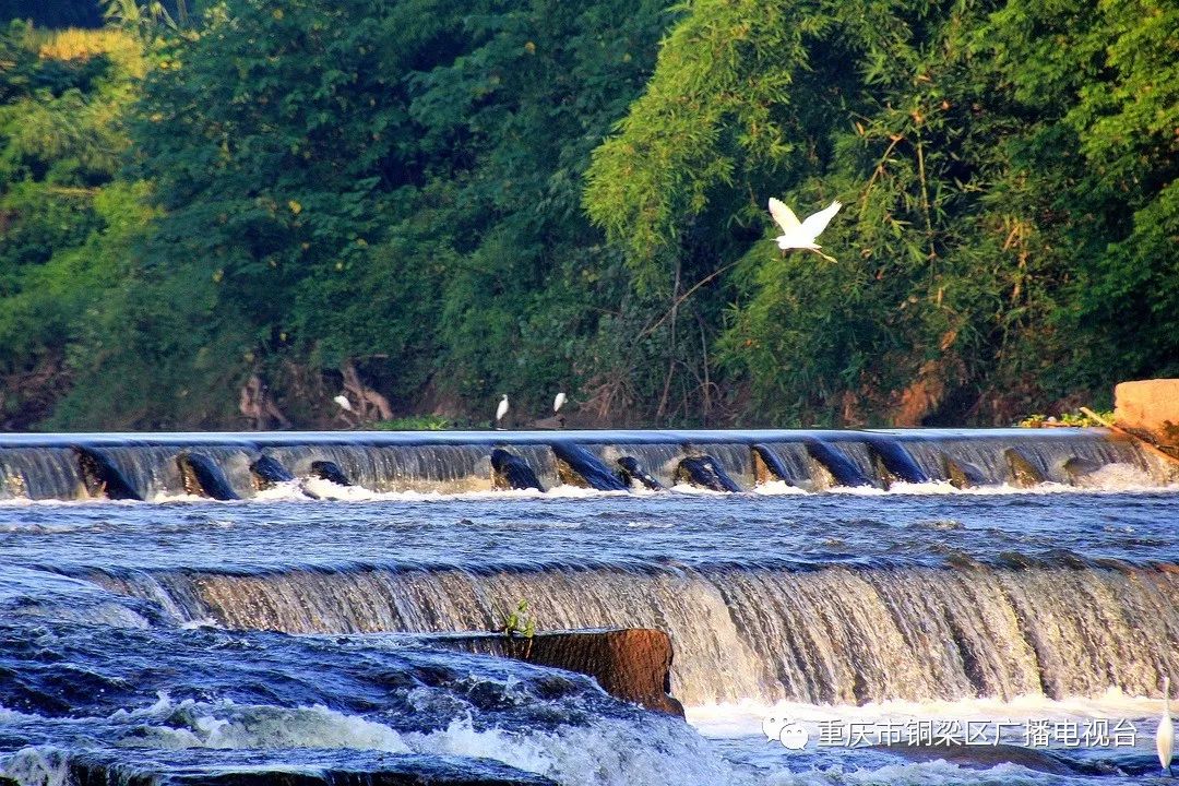 重庆6区县遭遇大暴雨，3条河流超保证水位