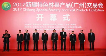 跨越3000公里 新疆特色林果空降广州